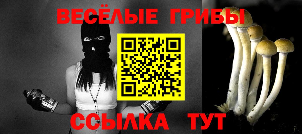 Галлюциногенные грибы прущие грибы Каменск-Шахтинский